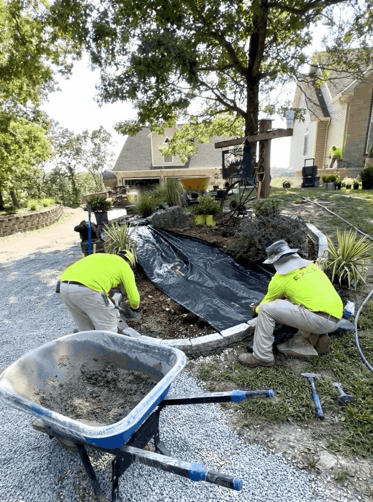 The project involved extensive landscape installation across the front property, including approximately 50 plants ranging from ornamental grasses and perennials to shrubs and trees.