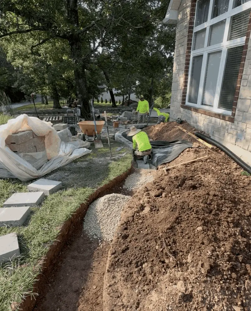 The project involved extensive landscape installation across the front property, including approximately 50 plants ranging from ornamental grasses and perennials to shrubs and trees.