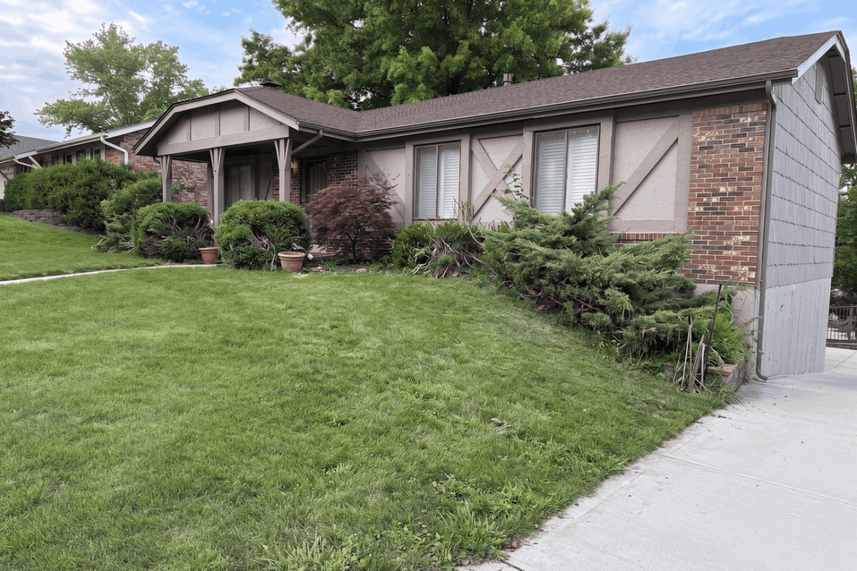 Before front yard landscape renovation project