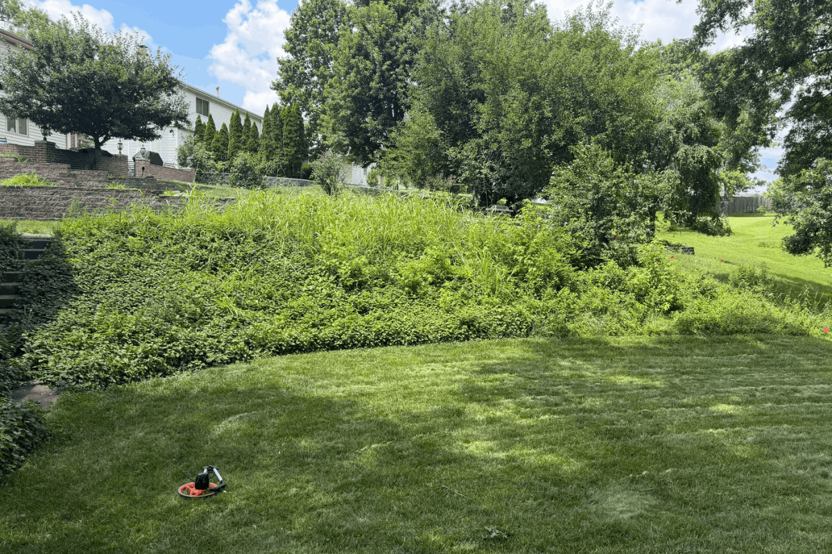 chesterfield retaining wall before