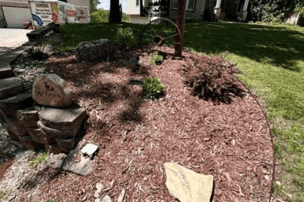 st louis before landscaping project
